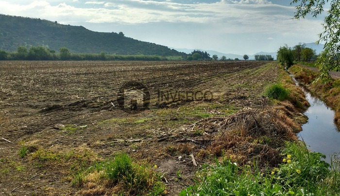 Parcela en venta en Chépica