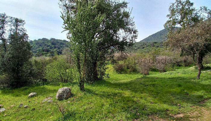 Parcela en venta en Los Lingues