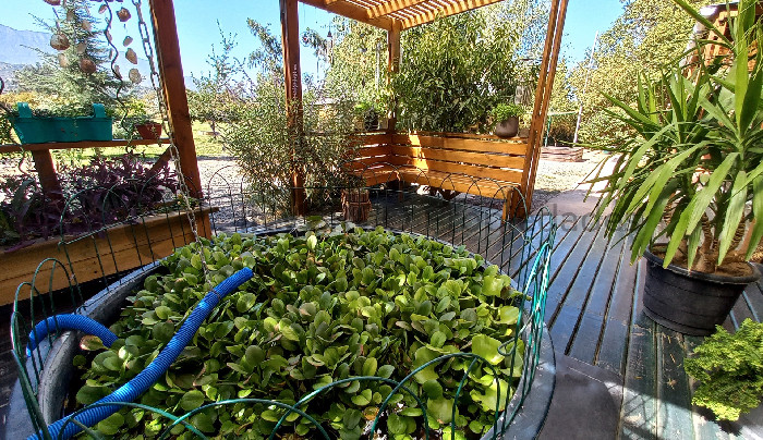 Foto 18