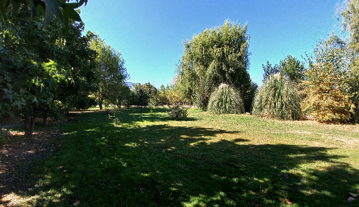 Foto 23