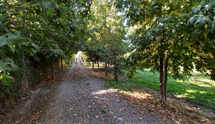 Foto 24