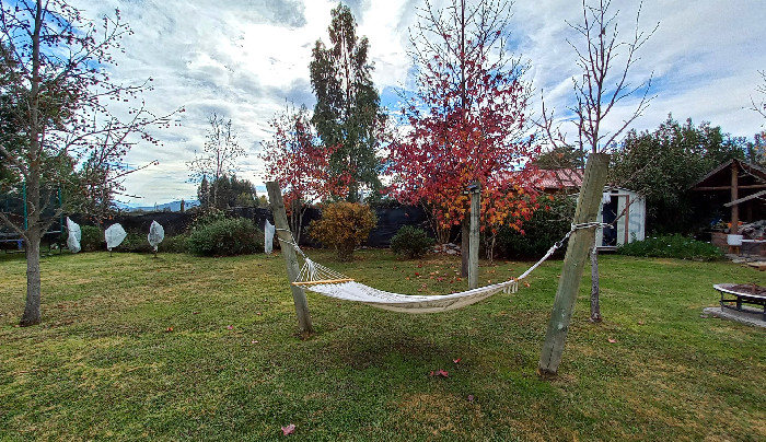 Foto 21